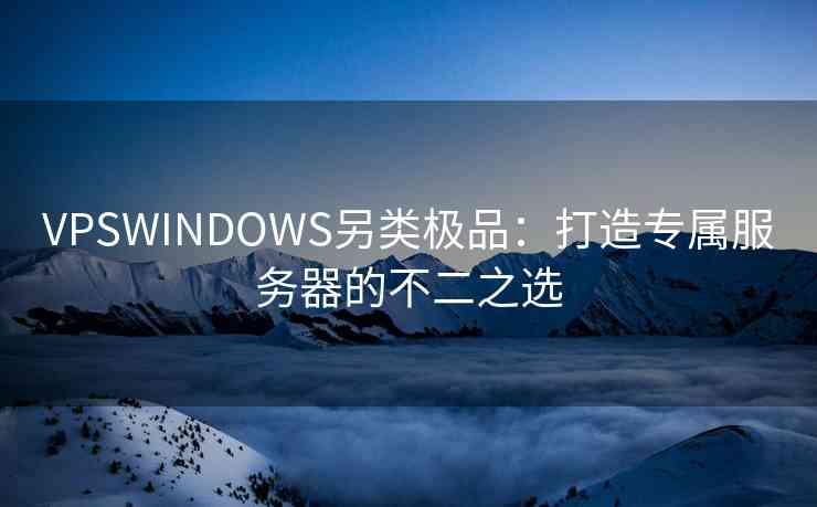 VPSWINDOWS另类极品：打造专属服务器的不二之选