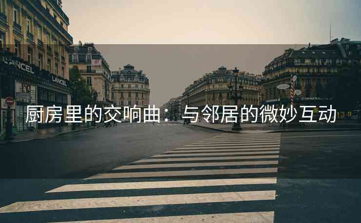 厨房里的交响曲：与邻居的微妙互动