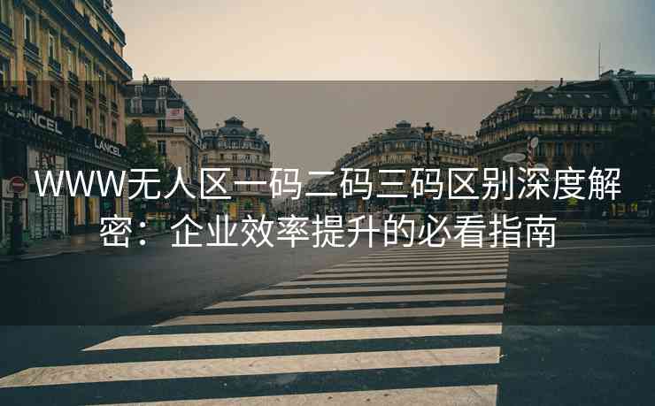 WWW无人区一码二码三码区别深度解密：企业效率提升的必看指南