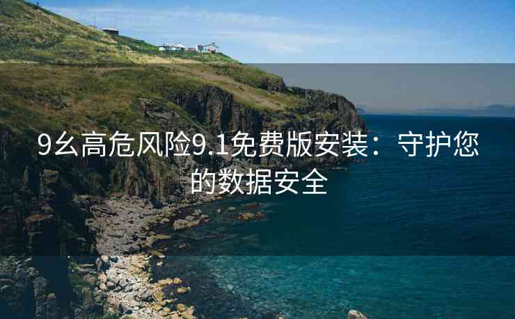 9幺高危风险9.1免费版安装：守护您的数据安全