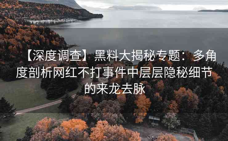 【深度调查】黑料大揭秘专题：多角度剖析网红不打事件中层层隐秘细节的来龙去脉